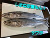 「金曜日恒例！お魚屋さんのお惣菜の日！！」