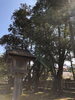 「今日の言葉&一言メッセージ」