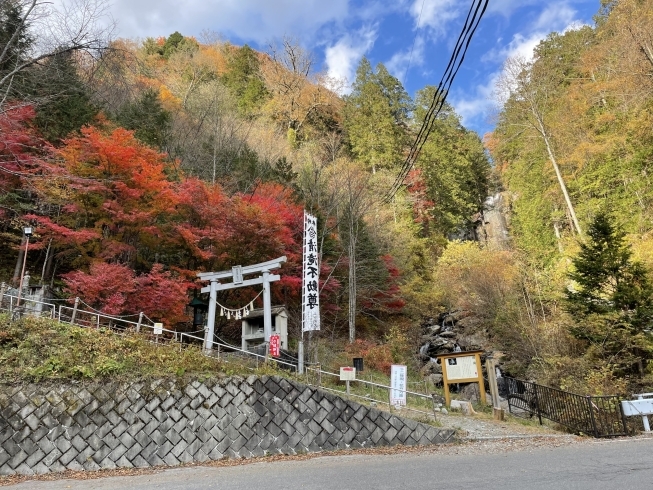 清滝を駐車場から眺める「11月6日（土）紅葉の様子をお伝えします。【木曽 遊び ｱｸﾃｨﾋﾞﾃｨ― 林鉄バイク E-MTB・MTBレンタル 王滝村】」