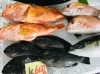 「魚魚市場鮮魚コーナーおすすめは「クロ・イサキ」です♪」