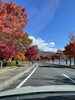 諏訪湖畔　サイクリングにも最高「諏訪の紅葉」