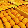 「「庄内柿」の入荷量が増えてきましたよー！！山形県産「庄内柿」」
