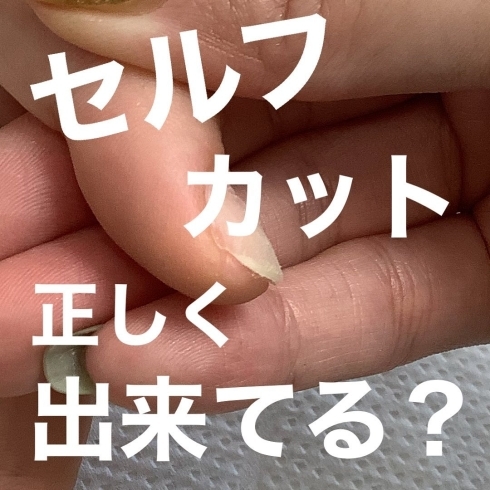 「正しい爪の切り方知っていますか？【福井市 / ネイルサロン / ホームケア】」