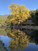 「紅葉綺麗ですね」
