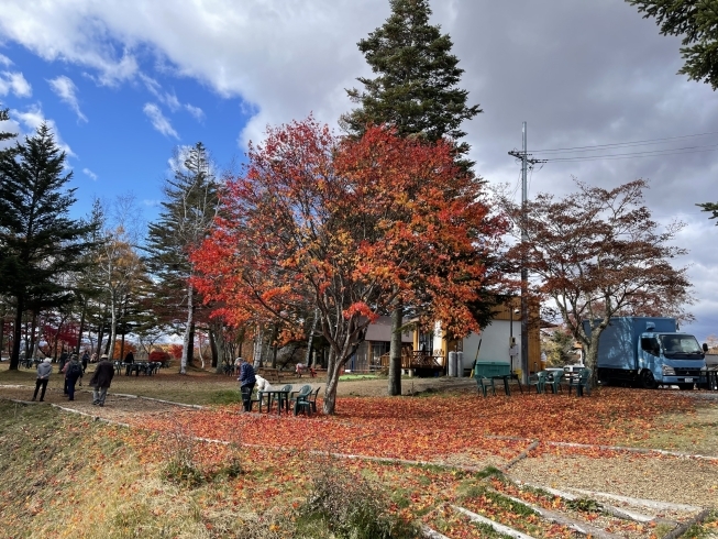 蓼科湖の風景「蓼科の紅葉と雪景色」