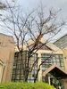 梅若橋コミュニティ会館「再開」