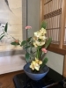 「【忘年会・新年会】新鮮なお造りとお料理の店　〜東近江魚千代からの年末年始のお知らせ〜」