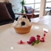 濃厚チーズアイスのぷりんタルト