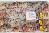 「魚魚市場鮮魚コーナーおすすめは「ミノカサゴ・殻付きカキ」です♪」
