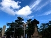 今日は、神迎えの日でした「何を見たいですか？」