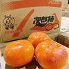 「次郎さん入荷してます✨ 愛知県産　次郎柿(甘柿)」