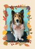 「Dog salon mofu mofu　余市町」