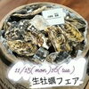 「生食用牡蠣　入荷！　食べたい方は福井片町bar燻へ」