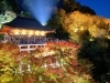 清水寺　ライトアップ「紅葉【京都市南区・京都テルサ・ジム・プール・こども・駐車場完備】」