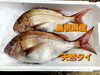 「金曜日恒例！新鮮なお刺身と手づくりのお惣菜を販売します‼️」