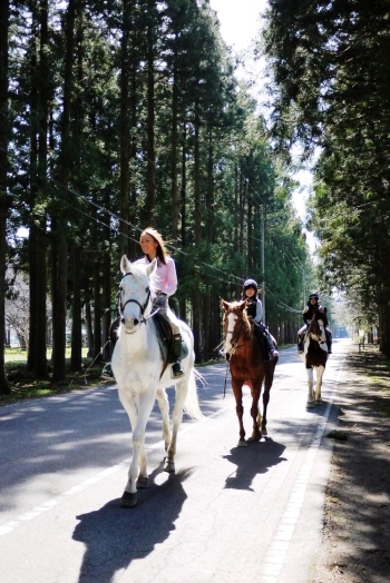 森林浴をしながら、のんびり乗馬体験「那須 千本松牧場」