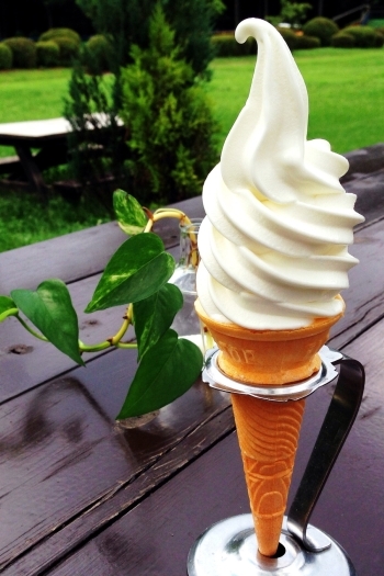新鮮な生乳を使ったソフトクリームは、濃厚なミルク感が絶品！「那須 千本松牧場」