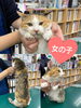 「里親募集のお知らせ〜里親さんが見つかりました〜」