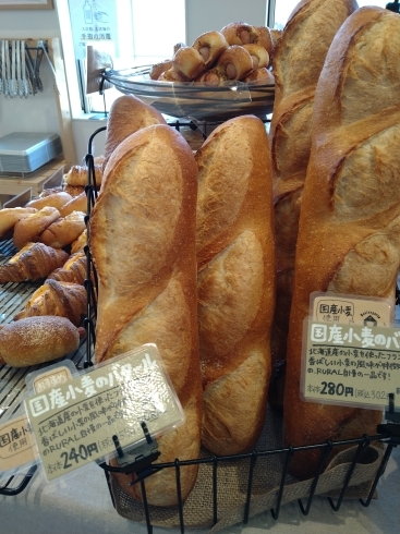 国産小麦のバゲット、国産小麦のバタール「☆RURAL☆フランスパンはどちらがお好みでしょうか?」