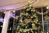 クリスマスイルミネーション点灯中~!「プレゼント満載!【クリスマスフェア】開催中~!」