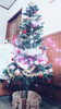 「 Xmasツリー飾りました･:*+.\(( °ω° ))/.:+」
