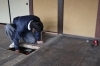 髙世さんによる床を水平にするための作業！「《髙世建築二級設計事務所》さんの【古民家改築作業レポート】その3」