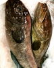 「激レア魚「ぼうずぎんぽ」とその他本日のお勧め」