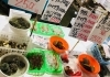 「魚魚市場鮮魚コーナーおすすめは「生うに・カナトフグ」です♪」