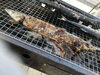 「秋刀魚焼けました」