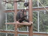 ミライ「いつのまにか・・・」