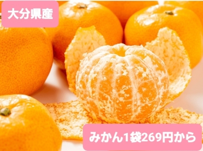 あまーい⭐みかん⭐今年も大人気‼️「産地直送‼️あまーい⭐みかん⭐入荷しております‼️大府市/野菜直売」