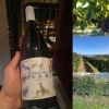 「嬉しいご報告です。」
