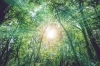 「いつか、また、そのうち…  いや 今なんです。」