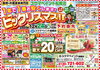 1年で1番安い！クリスマスキャンペーンです！「クリスマスキャンペーンを実施いたします！」