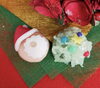 「クリスマスの和生」