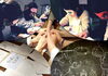 「【謎解きカフェ】お絵描きで遊ぼう！【三越前駅】【コレド3近く】」
