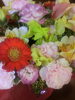「ご結婚おめでとうございます!!(^^ )v」