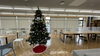 1階　クリスマスツリー「☆クリスマス☆」