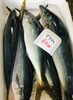 「魚魚市場鮮魚コーナーおすすめは「ツムブリ」です♪」