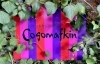 「【イベント出店紹介】cogomafkin（コゴマフキン） さん」