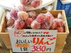福島市産　りんご　１袋３８０円「本日のお買い得商品　福島市産りんご！【福島市/道の駅つちゆ/土湯温泉】」