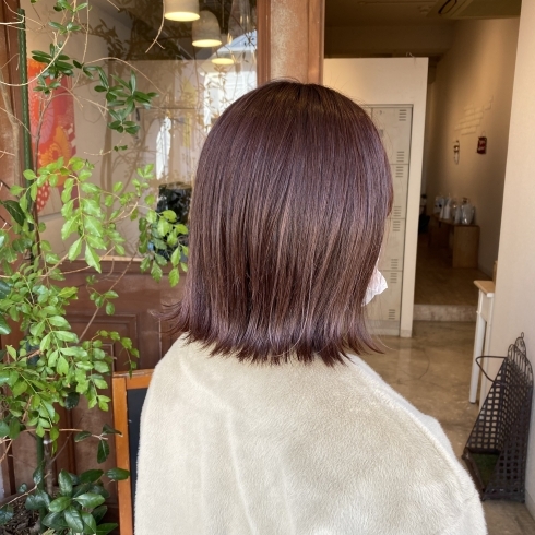 伊丹 美容室 dot.hair トリートメント「冬もオススメピンクカラー　伊丹美容室」