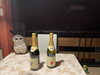 すっかり家族の一員ですね〜 アンタは飲めないよ「みーたんがお迎えされました」