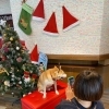 左むいて「FAIRY・DOGさんへ行ってきました♪」