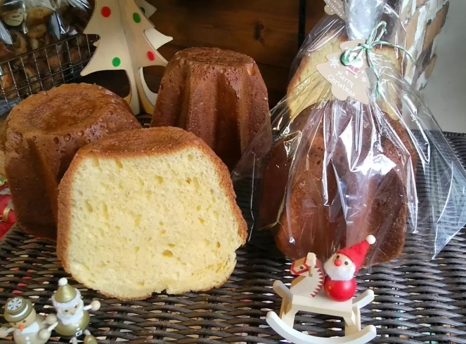 「クリスマス特有のイタリア伝統菓子『パンドーロ』　　【国産小麦のパン】」