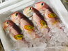 「魚魚市場鮮魚コーナーおすすめは「甘鯛」「ツムブリ」です♪」