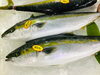 「魚魚市場鮮魚コーナーおすすめは「天然ヒラス」「天然ぶり」です♪」