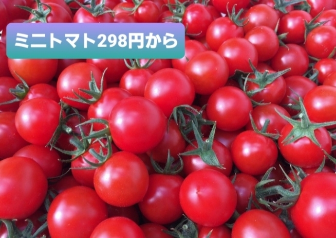 大人気⭐サグワットファーマーズさん甘いです‼️⭐「三重県大分県より直送⭐極早生みかん⭐入荷しております‼️大府市/野菜直売」