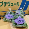 「岩手県産　「プチヴェール」の入荷が始まっていますよー！！」