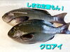 「今晩は、新鮮で美味しいお刺身を是非‼️」